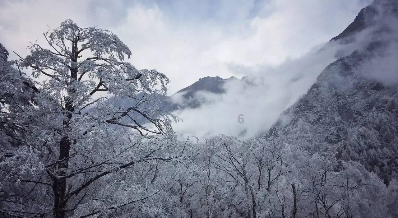 “寻找在杭藏语志愿者”,牵动全城求助消息的背后......